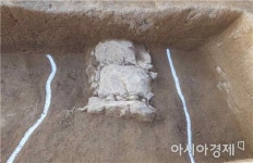 부여 능안골 고분군서 백제 귀족층 집단묘 확인