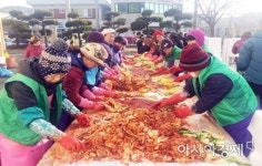 장흥군 회진면, 지역사회와 함께하는 “사랑의 김장나눔” 행사