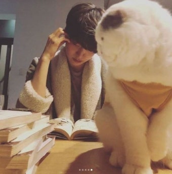 안재현, 신혼 일상 공개? 반려묘 안주와 함께 독서…“구님은 어디에”