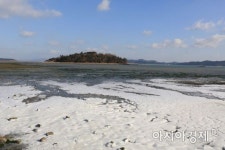 [포토]완도 앞 바다도 얼게 만드는 최강 ‘한파’