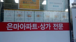 고삐 풀리는 은마 일단 간보기부터