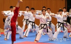 [포토]서울시청서 열린 남북 태권도 합동 공연