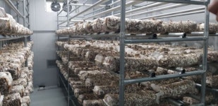 송파구, 청소년 대상 ‘도시농업 스마트팜’ 추진