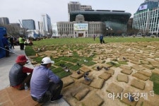 [포토] 광장에도 봄이 옵니다