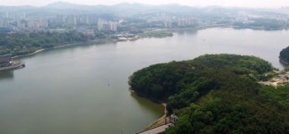 기흥호수공원 명품산책로 등장… 이팝나무 가로수길 조성