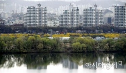 [포토] 노란 개나리 핀 올림픽도로