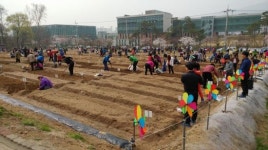 도봉구 쌍문동 친환경 나눔텃밭 개장