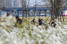 [포토] 따뜻한 서울, 한강 찾은 시민들