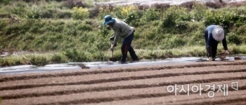 [포토] 농번기 시작을 알리는 소리