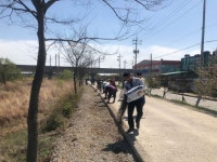 [포토]광산구 “올가을 황룡강 코스모스길 기대하세요”