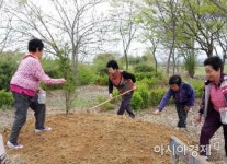 담양 봉산면, 채송화 봉선화 가득한 꽃마을로