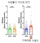 뇌의 기억 저장소 찾았다