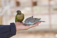 산과 들, 축제의 현장…5월은 야외로~