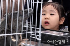 [포토] 도마뱀에 시선 빼앗긴 동심