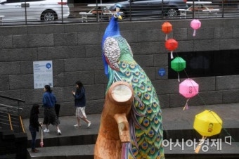 [포토]부처님오신날 앞두고 청계천에서 열린 전통등 전시회