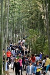 [포토] 제20회 담양대나무축제...어린이날 나들이객 북적