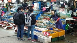 [르포]꽃게 너마저…봄 제철 수산물 金값에 수입산만 불티