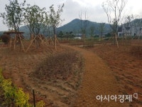 전남 함평군, 신풍마을에 도시 숲 조성