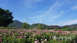 [포토] 화순군산림조합 ‘산림작물생산단지’ 지역민 소득 창출 기여