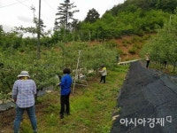 진안 백운면, 영농철 일손 돕기 적극 나서