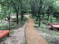 성동구 ‘매봉산 치유숲길’ 조성