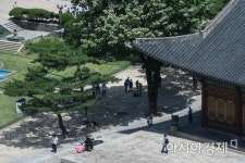 [포토] 나무그늘 아래서