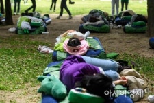 [포토] 숲속 꿀잠