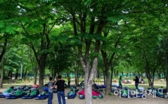 [포토] 숲속 힐링