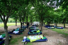 [포토] 숲속 꿀잠대회 참가한 청년들