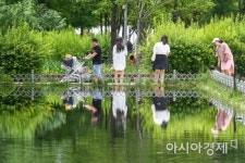 [포토] 화창한 초여름