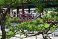 [포토]숲 속 쉼터