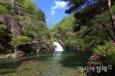 여름휴가는 무더위 한 방에 날릴 생태관광도시 ‘담양’으로