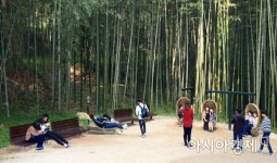 여름휴가는 무더위 한 방에 날릴 생태관광도시 ‘담양’으로