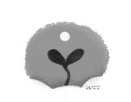 [오후 한 詩]오늘은 천사들의 마지막 날/이원