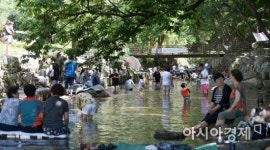 [포토] 여름엔 시원한 계곡 그늘 아래가 최고