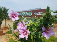 수원 무궁화양묘장 이달 말 개방한다