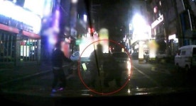 자라니, 취라니, 폰라니…각종 고라니 천국된 대한민국