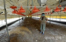 [포토] 축산 농민의 한숨