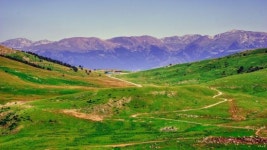 하림 계열사 선진, 안성에 대규모 돼지 도축시설 건립…주민들 대기업 횡포(종합)