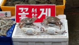  홈플러스 매일 아침 산지 직송 가을 꽃게 배달합니다