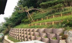 박준희 관악구청장, 태풍 ‘솔릭’ 대비 취약지역 챙겨