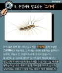 [카드뉴스]초파리부터 쌀벌레까지…골치 집벌레 5종 완전 퇴치법