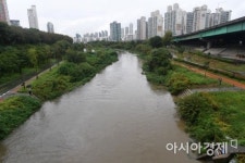 [포토]수위 상승하는 도림천
