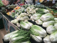 “상추를 삼겹살에 싸서 먹어야 하나” 상추, 시금치 등 잎채소 가격 연일 폭등(종합)