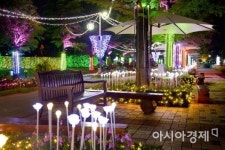 ‘순천만국가정원’ 10월까지 정원의 밤 즐기세요