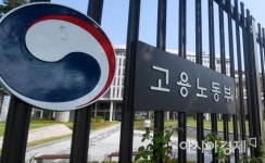 2019 청년친화강소기업 접수…최근 2년 청년고용실적 지표 신설