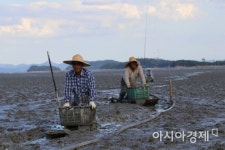 [포토] 짱뚱어 잡이 어부들 귀향
