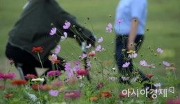 [포토]가을 향기