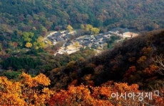 해남 대흥사, 전남 선차문화 국제교류회 개최