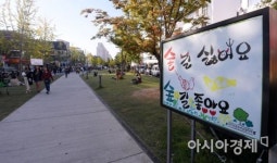 [한국의 골목길]폐철길이 내 마음 속으로…연남동 골목